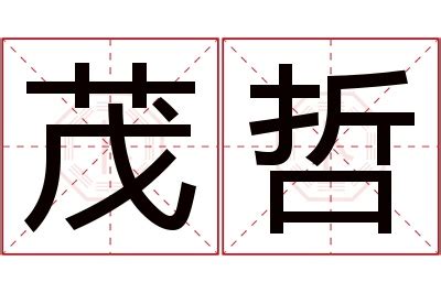 哲的意思名字